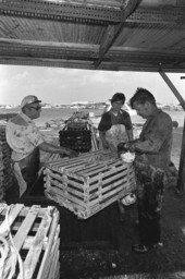 Captain Roche and mate Clyde Carey preparing a lobster trap - Stock Island, Florida