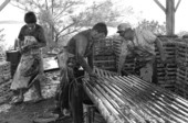 Captain Roche and mate Clyde Carey preparing a lobster trap with creosote - Stock Island, Florida