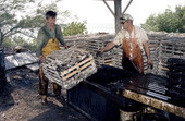 Captain Roche and mate Clyde Carey preparing to dip a lobster trap in creosote - Stock Island, Florida