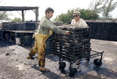 Captain Roche and mate Clyde Carey stacking lobster traps on cart after treating them with creosote - Stock Island, Florida
