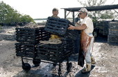 Captain Roche and mate Clyde Carey stacking lobster traps on cart after treating them with creosote - Stock Island, Florida
