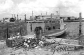 Lobster docks located at Peninsular Marine Boat Yard, Stock Island, Key West, FL.