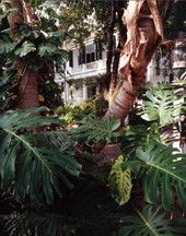 View of the rear of the Audubon House at 205 Whitehead Street - Key West, Florida.