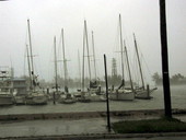 View of boats docked at the Garrison Bight Marina during hurricane Dennis - Key West, Florida.