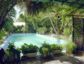 Swimming pool at the Ernest Hemingway house museum - Key West, Florida.