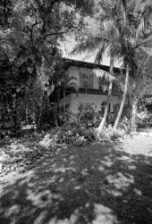 Ernest Hemingway house museum at 907 Whitehead Street - Key West, Florida.