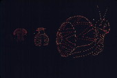 Floats in the Main Street Electrical Parade at the Magic Kingdom - Orlando, Florida.