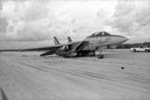 F-14 Tomcat Navy fighter on NAS Key West runway 3 with collapsed main landing gear and blown main mount tires following emergency landing.
