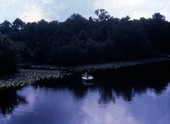 View showing a boat on a waterway.