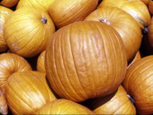 Close up view of pumpkins