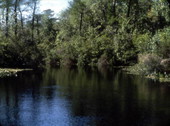 View of a waterway.