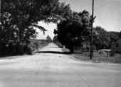 View of Road S-292 - Escambia County, Florida