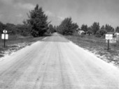 Road A1A.
