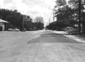 View of Road 585 - Hillsborough County, Florida