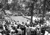 Members of Douglas High School of Live Oak dancing the "Virginia Reel"- White Springs, Florida