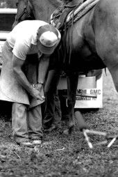 Glen Nettles shoeing a horse in the Ranching Folklife Area- White Springs, Florida