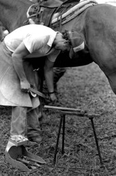 Glen Nettles shoeing a horse in the Ranching Folklife Area- White Springs, Florida