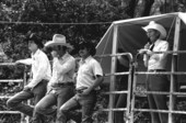 Mike Wilder, Ronnie Sylvester, and Curly Dekle at the corral of the Folk Festival ranching area- White Springs, Florida
