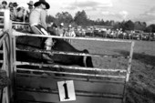 Bull riding at the Macclenny Rodeo- Macclenny, Florida
