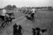 The crew of the Buck Island Ranch herding cattle- Lake Placid, Florida