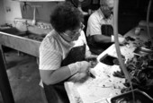 Ella Joyner Hogg shucking oysters at Joyner Oyster Co.- Fort George Island, Florida