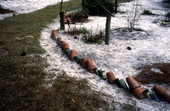 Plant border using bottles.