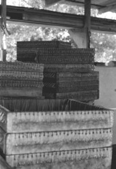 Catline boxes made and used by Leo Gillis - Basinger, Florida.