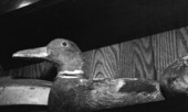 Duck decoys made by Mike Berg - Jacksonville, Florida