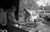 Wheelwright and coach maker John Luther and his apprentice Raymond Richardson working with a wagon wheel- McAlpin, Florida