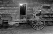 Coach being made by John Luther - McAlpin, Florida