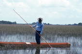 Glen Simmons navigating his way through the "River of Grass" on his glades skiff- Florida City, Florida.