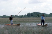 Glen Simmons (R) and apprentice Donald Edwards navigating their way through the "River of Grass" on glades skiffs- Florida City, Florida.