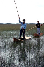 Glen Simmons (foreground) and apprentice Donald Edwards navigating their way through the "River of Grass" on glades skiffs- Florida City, Florida.