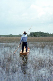 Glen Simmons navigating his way through the "River of Grass" on his glades skiff- Florida City, Florida.