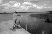 Max Dooley casting a net - Lakeland, Florida.