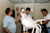 Isaac Duenas and apprentices putting finishing touches on a rooster to be used in festival - North Miami Beach, Florida.