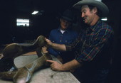 Saddlemaker Mike Wilder discussing saddle tree wtih apprentice Gregory Gaughan - Kenansville, Florida