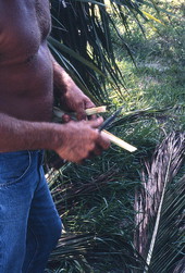 Palm frond hat maker Vic Simmons splitting a palm in order to weave a bird - Boynton Beach, Florida.
