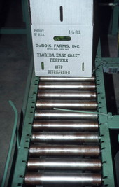 Box of peppers on conveyor - Boynton Beach, Florida.