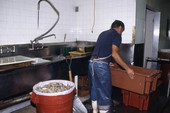 Worker in cleaning and packing area of Pinder's Fish Market - Riviera Beach, Florida.