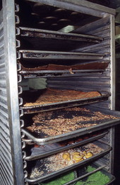 Pastry rack in air-conditioned kitchen area of Italian bakery - Lake Worth, Florida.