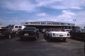 South Bay Growers packing house - South Bay, Florida.
