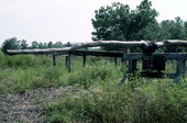 Cane mill on Willie Lumpkin's farm - Florida
