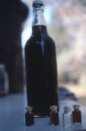 Bottles of cane syrup made at the Stephen Foster State Folk Culture Center - White Springs, Florida