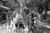 Display of brooms made by Bill Case at the 1988 Florida Folk Festival - White Springs, Florida