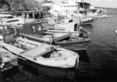 Oyster skiffs at the docks - Eastpoint, Florida