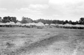 Chickees at site of Green Corn Dance on Scott Ranch - Okeechobee, Florida