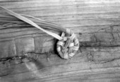 Close up view of a sweetgrass basket being created by Margaret Garrison - White Springs, Florida