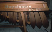 Marimba instrument belonging to Marimba Mayalandia - Orlando, Florida