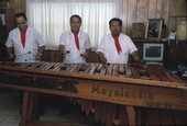 Marimba Mayalandia playing a large marimba - Orlando, Florida.